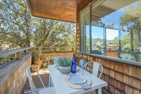 316 El Faisan Drive San Rafael CA 94903