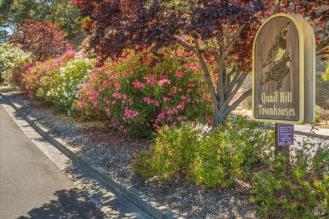 316 El Faisan Drive San Rafael CA 94903