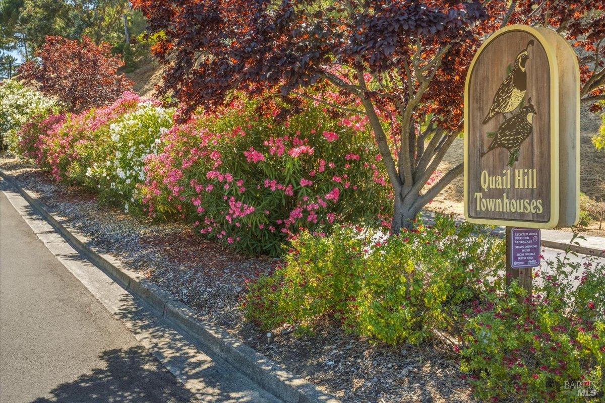 316 El Faisan Drive San Rafael CA 94903