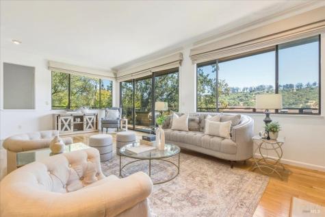 316 El Faisan Drive San Rafael CA 94903