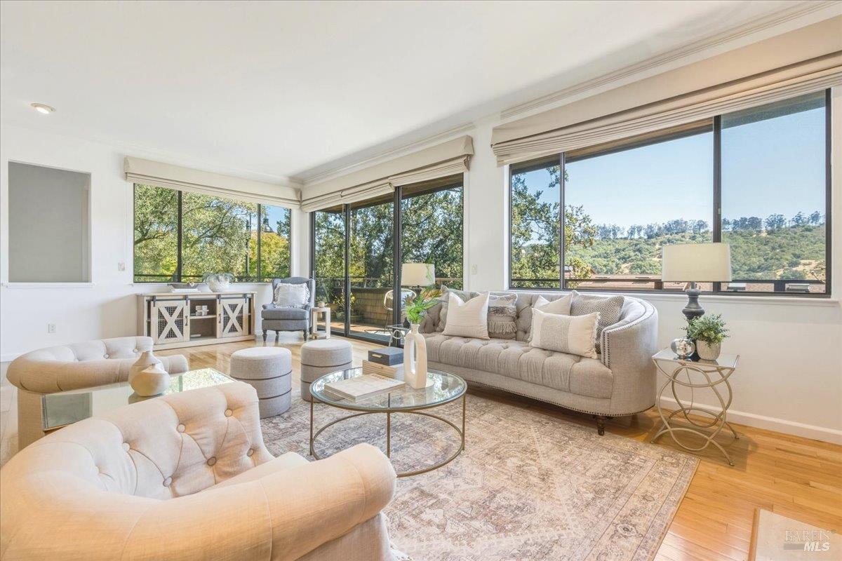 316 El Faisan Drive San Rafael CA 94903