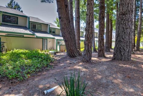 539 Norlee Street Sebastopol CA 95472