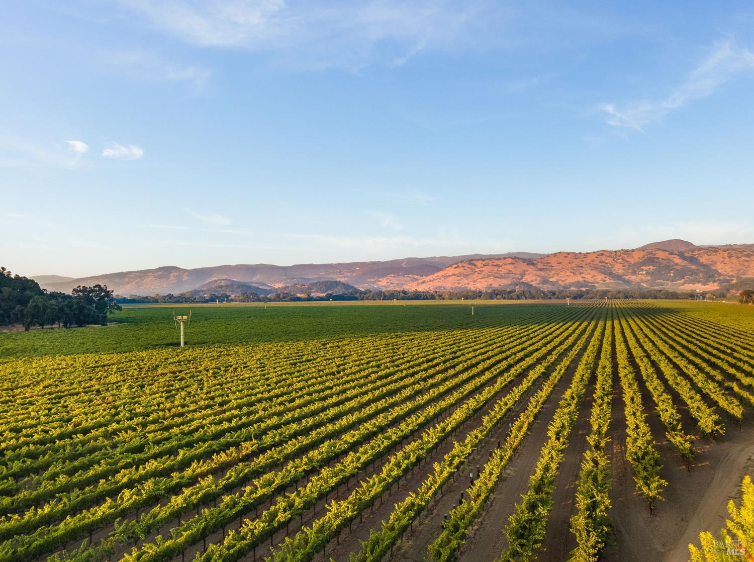 6950 Yount Street Yountville CA 94599