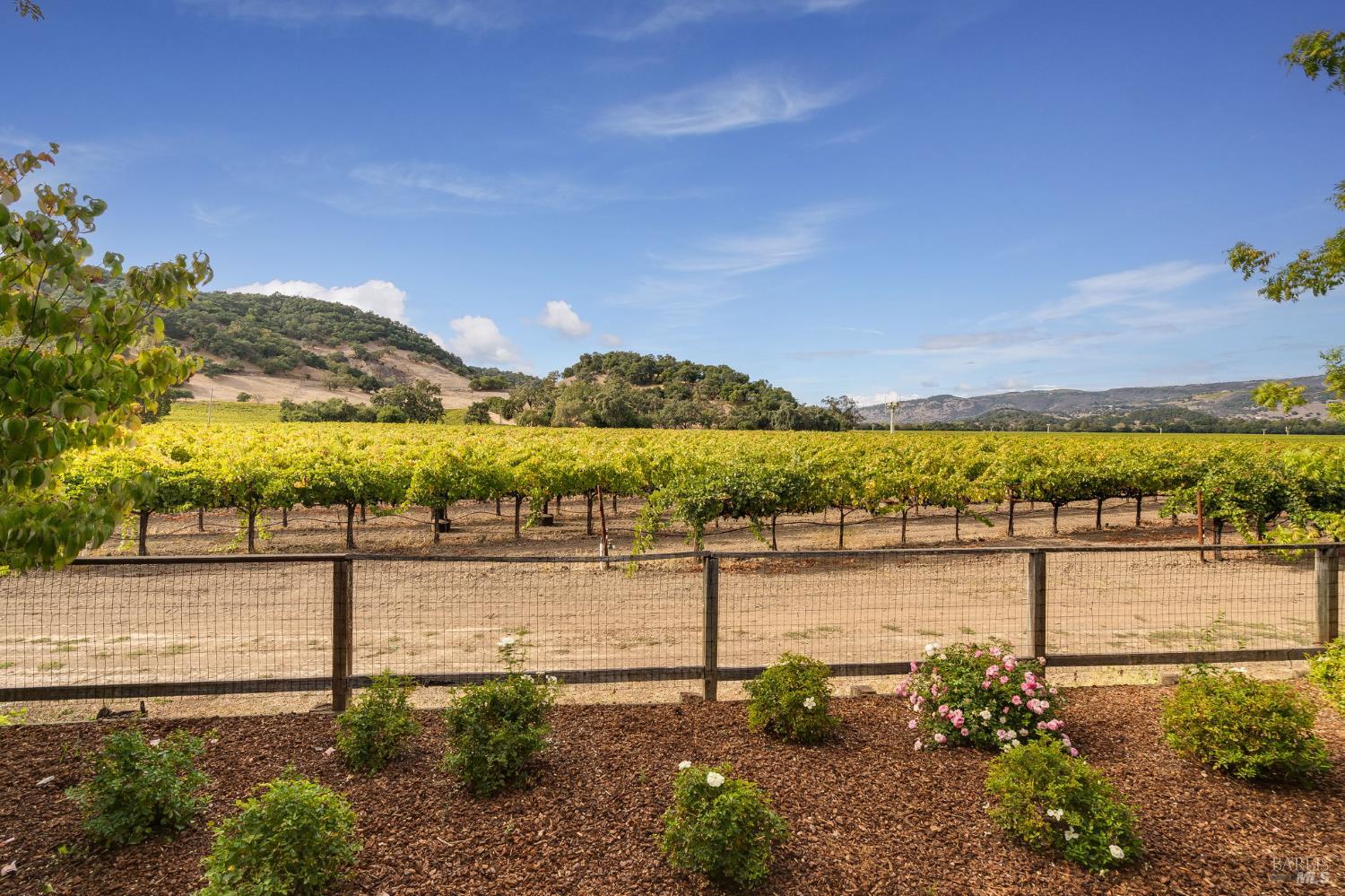 6950 Yount Street Yountville CA 94599