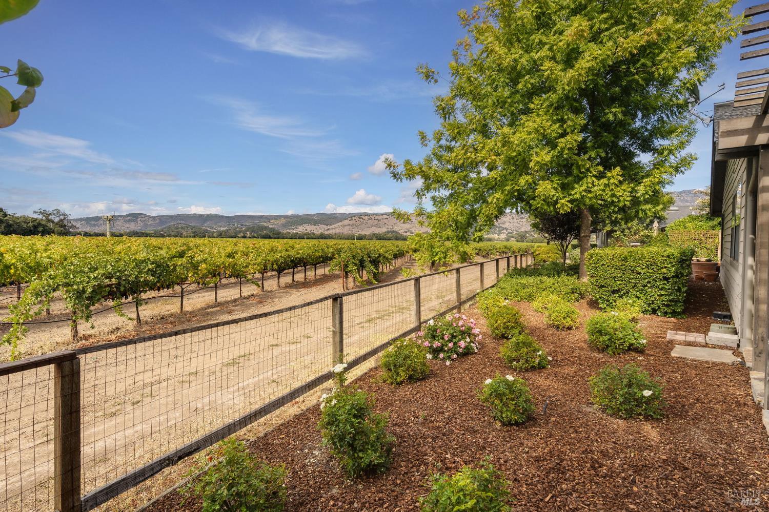 6950 Yount Street Yountville CA 94599