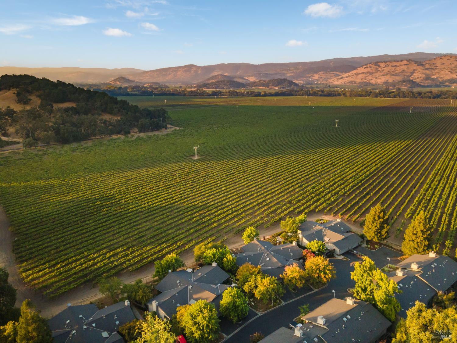 6950 Yount Street Yountville CA 94599