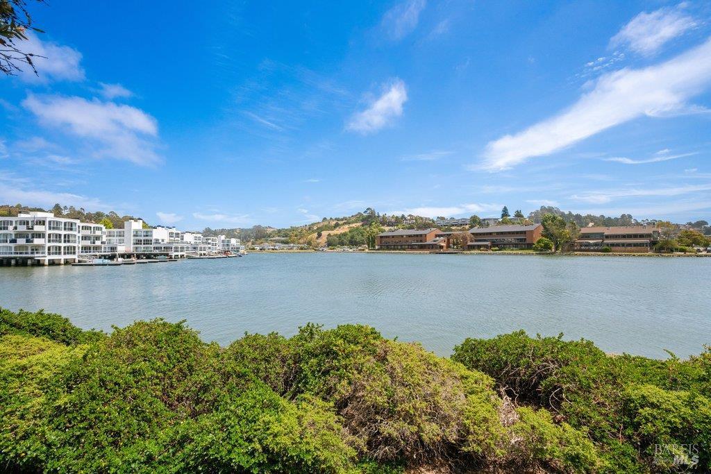 6052 Shelter Bay Avenue Mill Valley CA 94941
