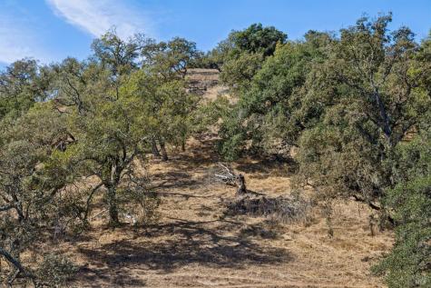 305 Verandah Avenue Novato CA 94945