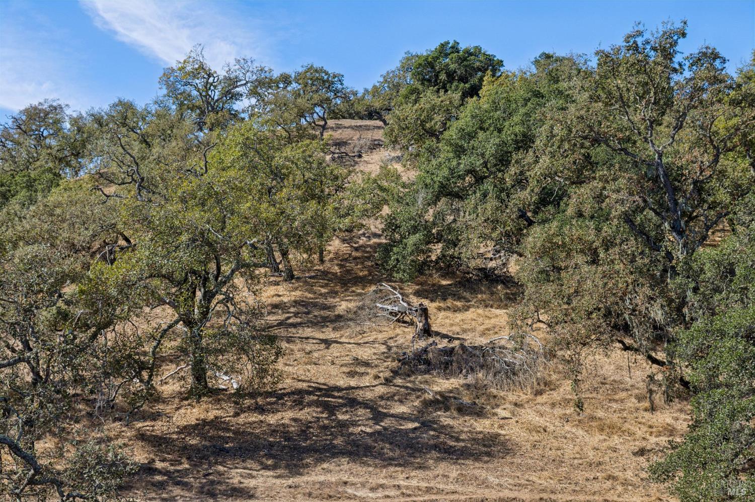305 Verandah Avenue Novato CA 94945
