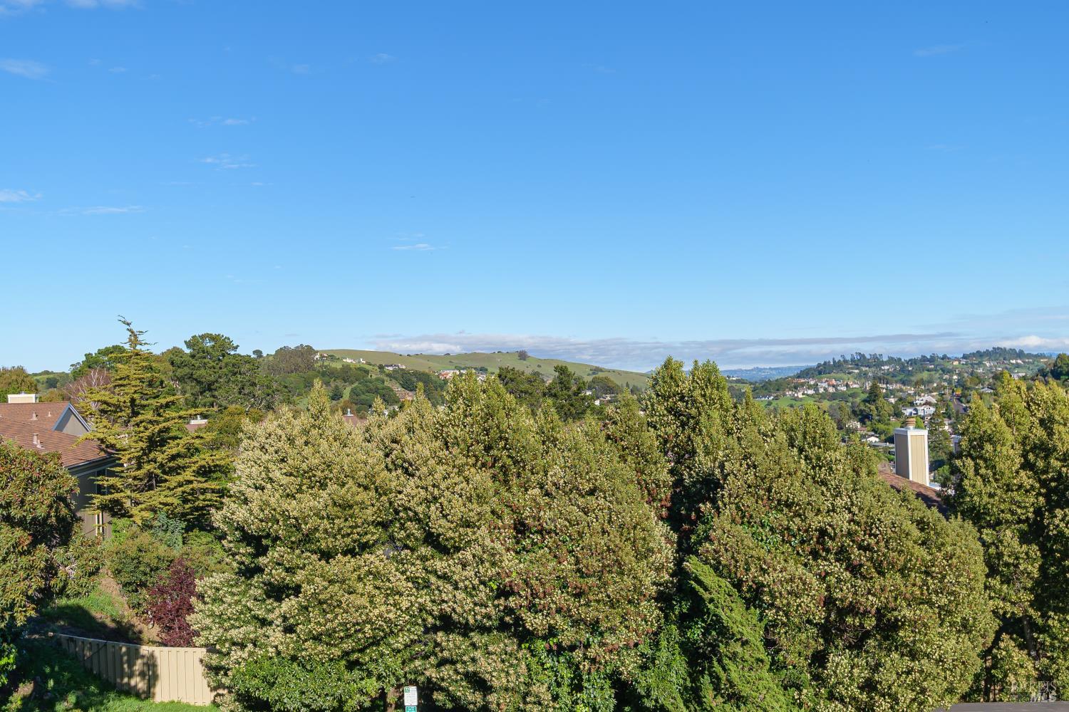 588 Seaver Drive Mill Valley CA 94941