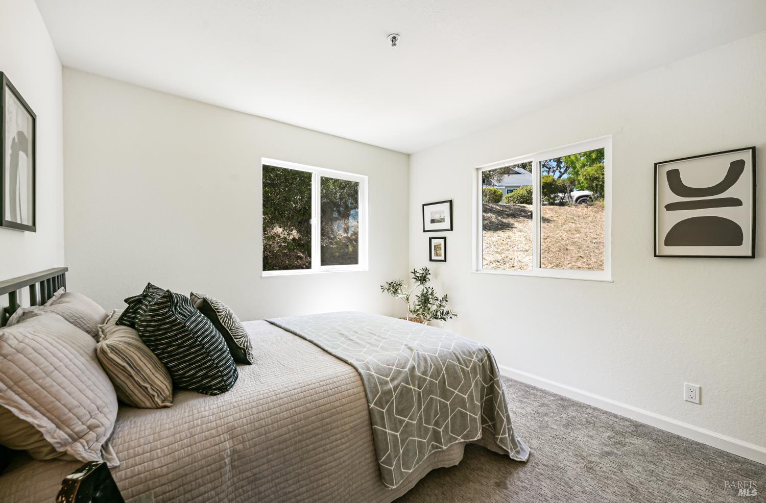 16 Rosewood Drive Novato CA 94947