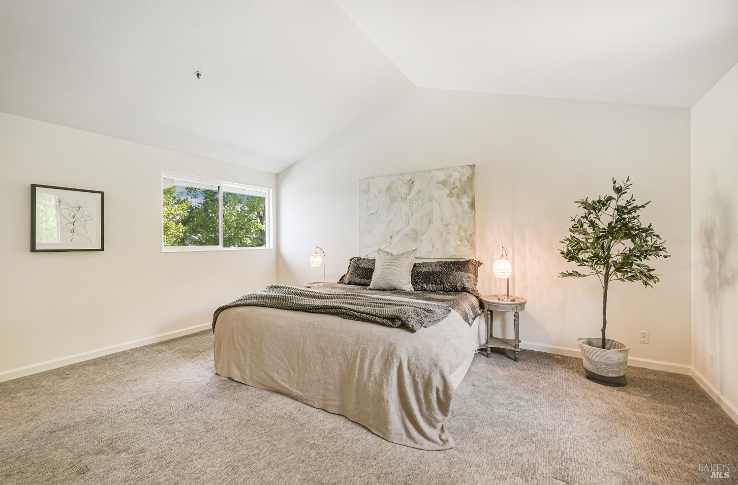 16 Rosewood Drive Novato CA 94947