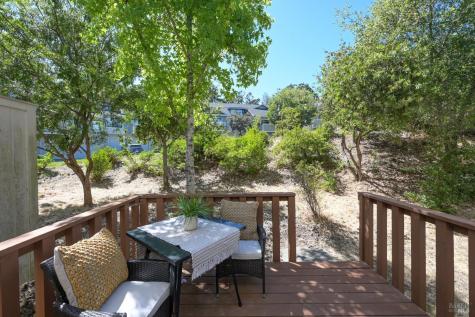 16 Rosewood Drive Novato CA 94947