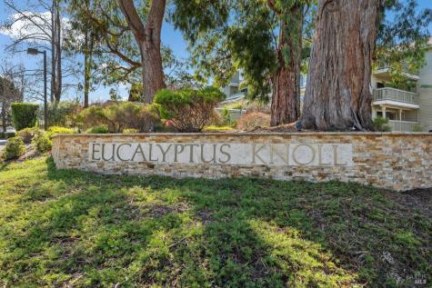 11 Eucalyptus Knoll Street Mill Valley CA 94941