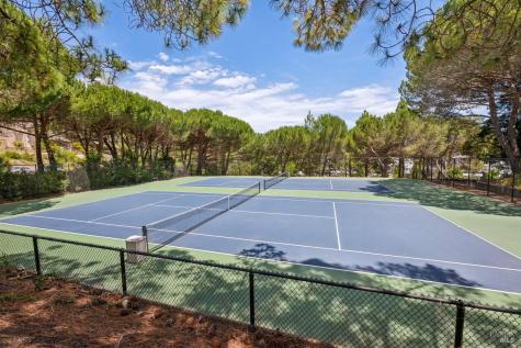 11 Eucalyptus Knoll Street Mill Valley CA 94941