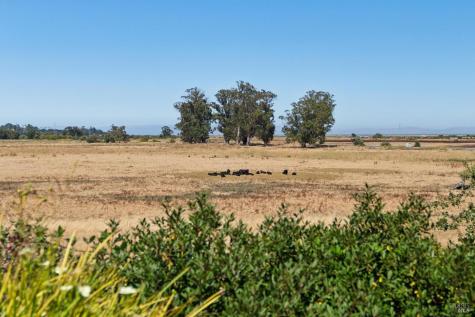 301 North Avenue San Rafael CA 94903