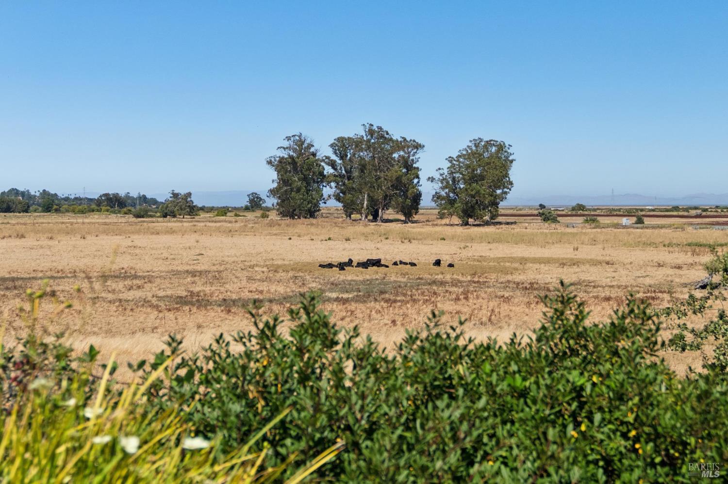 301 North Avenue San Rafael CA 94903