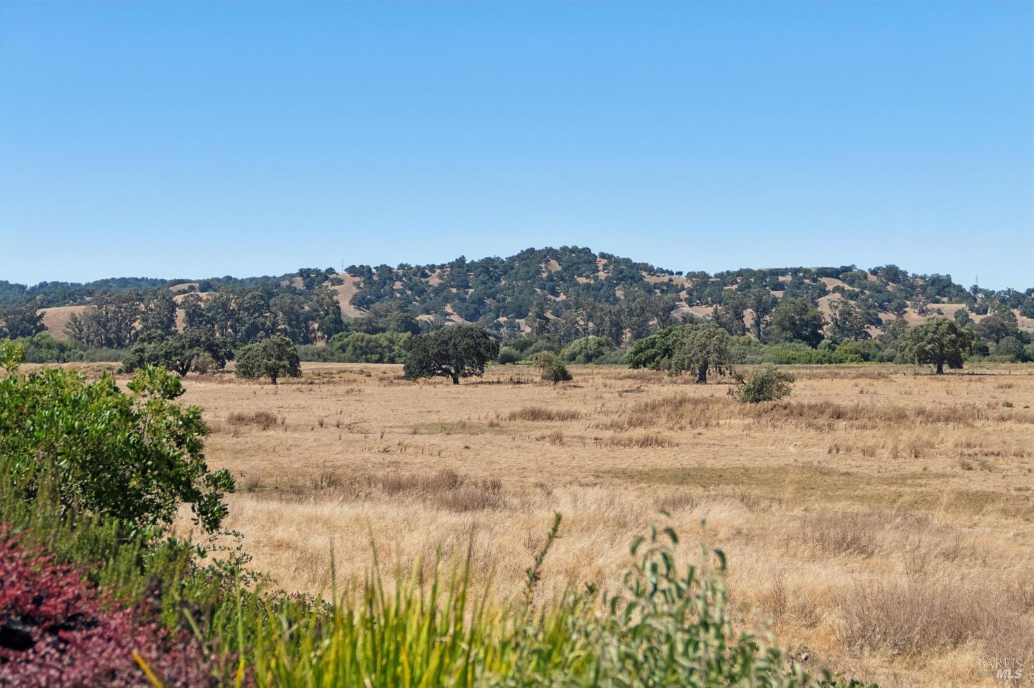 301 North Avenue San Rafael CA 94903