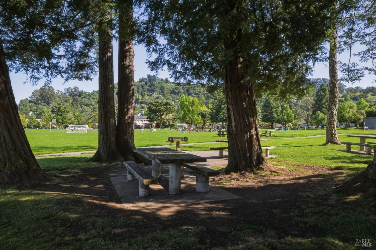 61 Pixley Avenue Corte Madera CA 94925