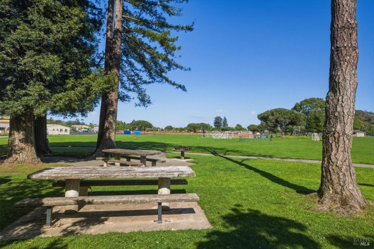 61 Pixley Avenue Corte Madera CA 94925