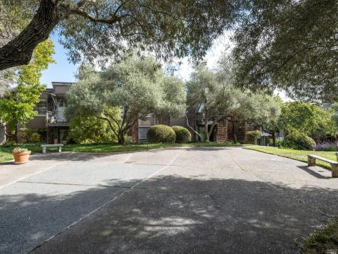 554 Seaver Drive Mill Valley CA 94941