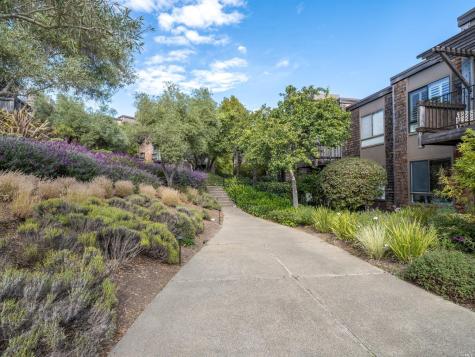 554 Seaver Drive Mill Valley CA 94941
