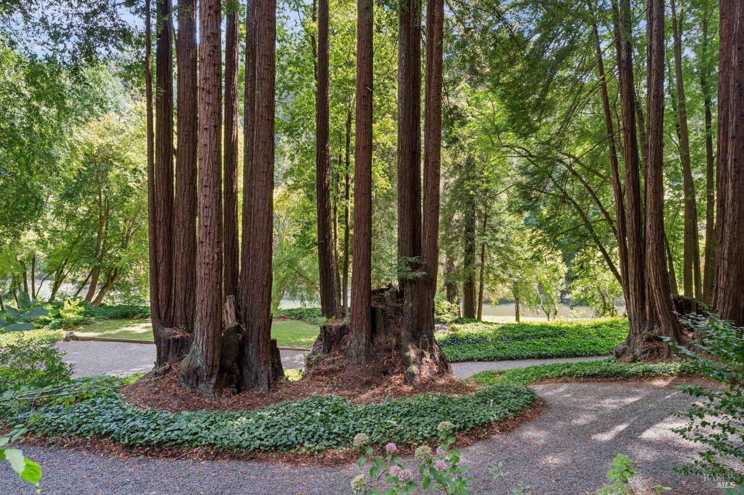 14093 Sosna Way Guerneville CA 95446