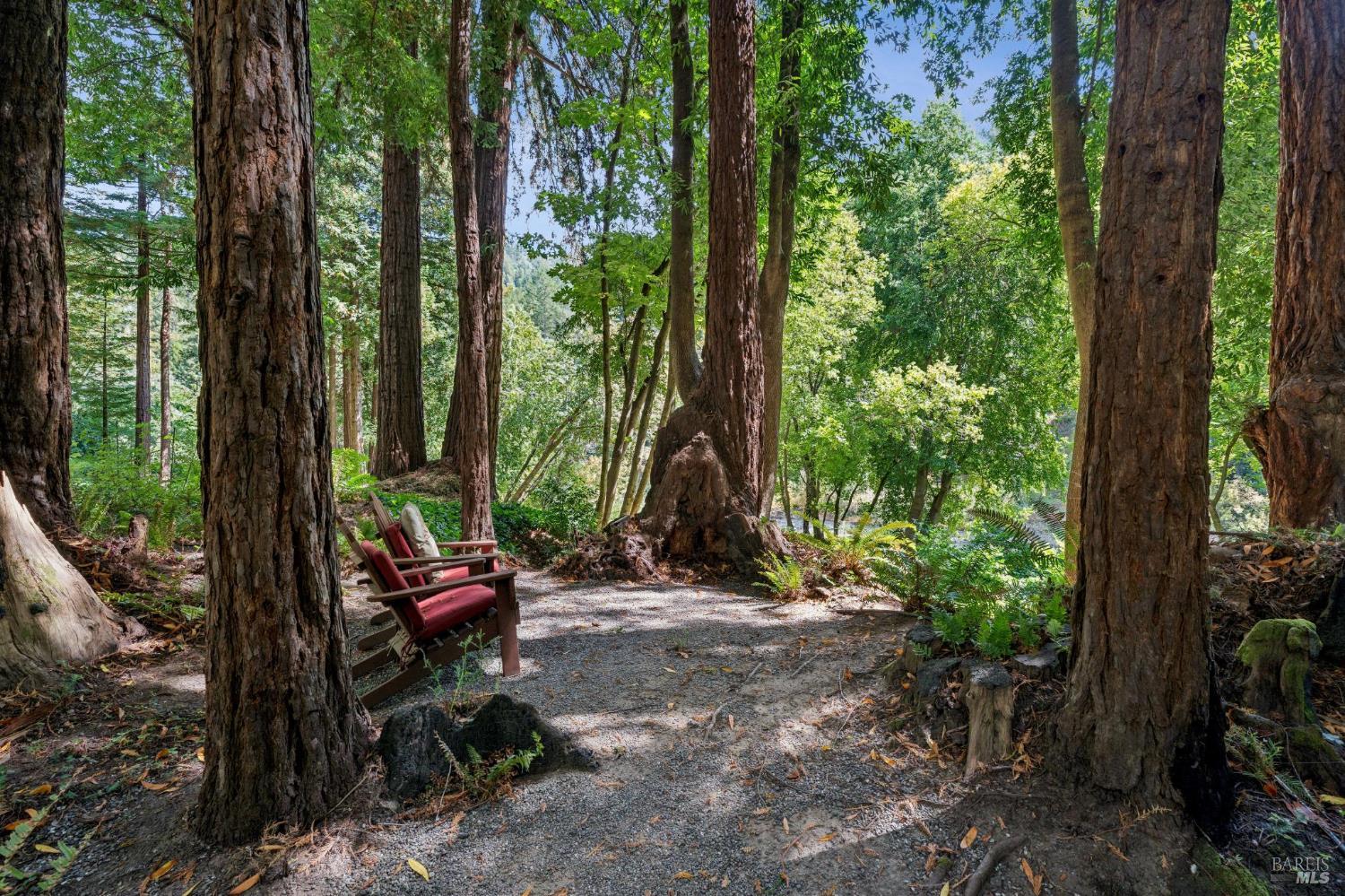 14093 Sosna Way Guerneville CA 95446