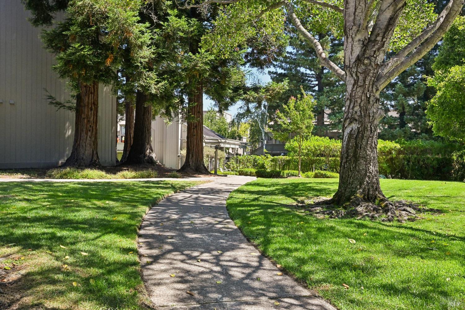 258 Sandpiper Court Novato CA 94949