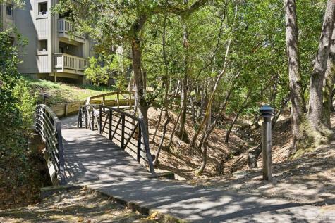 258 Sandpiper Court Novato CA 94949