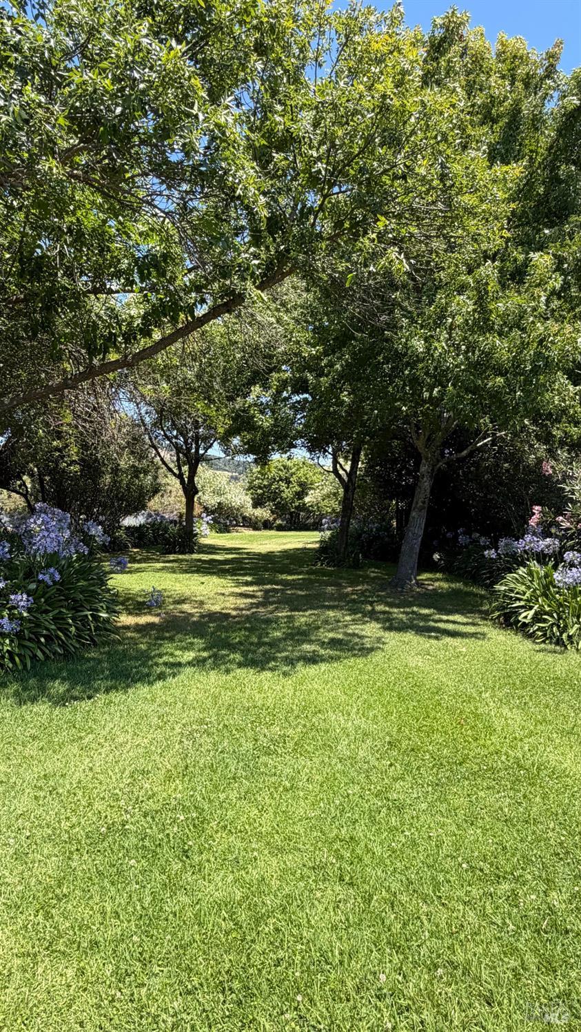 22 Hyannis Cove San Rafael CA 94901