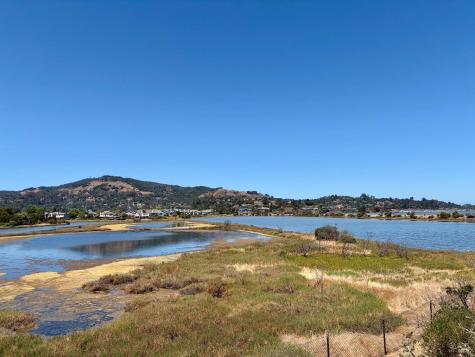 22 Hyannis Cove San Rafael CA 94901