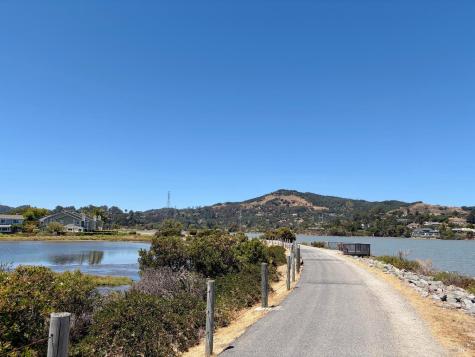 22 Hyannis Cove San Rafael CA 94901
