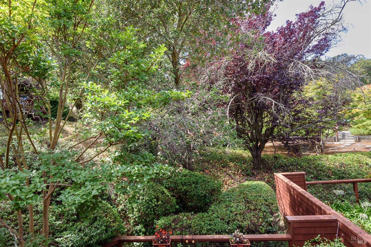 1001 Margaret Court Novato CA 94947