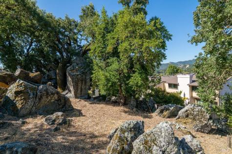 208 San Andreas Drive Novato CA 94945
