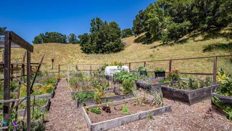 5 Love Court Fairfax CA 94930