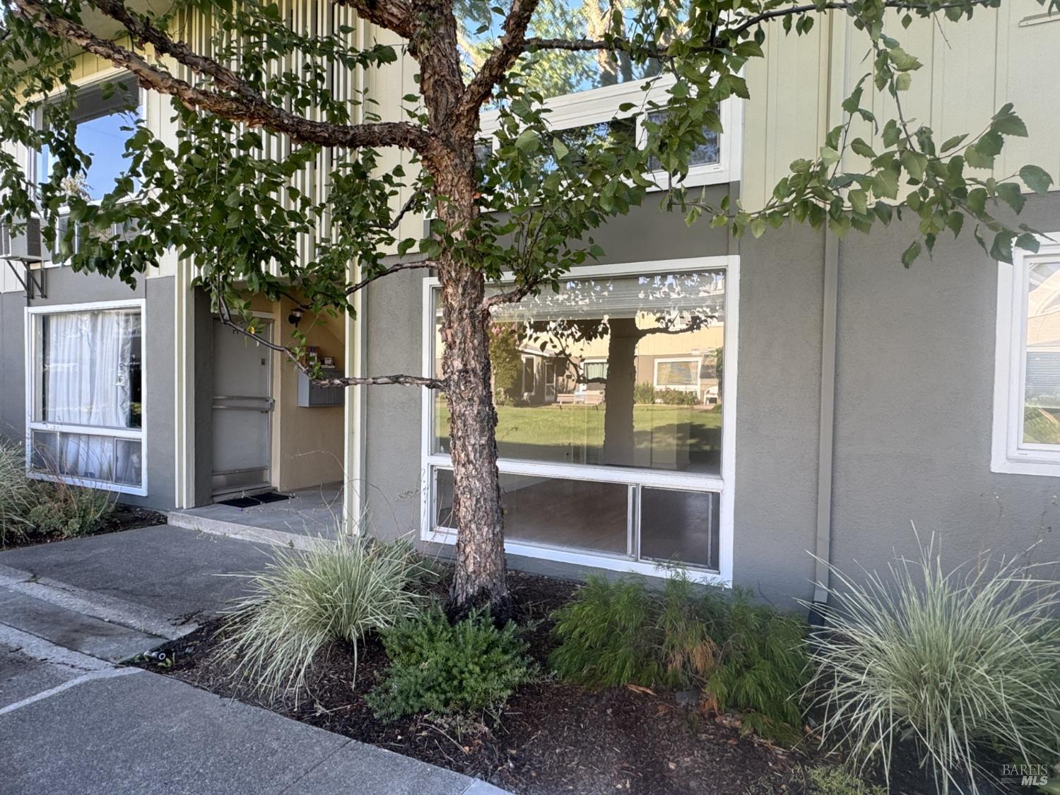 1056-E Los Gamos Road San Rafael CA 94903