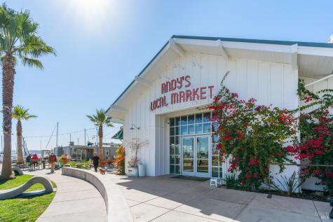 11 Bayharbor Way San Rafael CA 94901