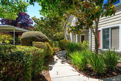 26 Mather Court Novato CA 94949