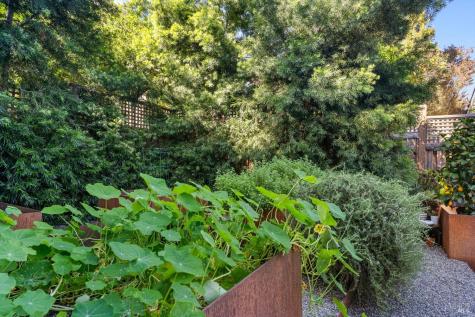 346 Piper Street Healdsburg CA 95448