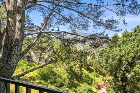 616 Via Casitas Greenbrae CA 94904