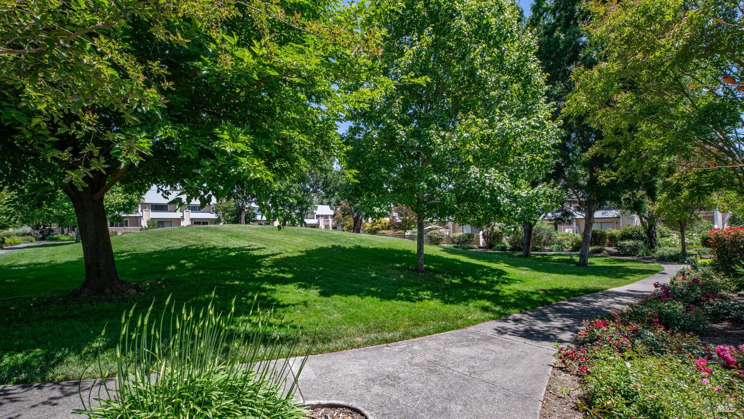1560 Grenache Way Santa Rosa CA 95403
