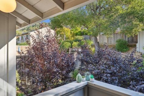 20 Woodoaks Drive San Rafael CA 94903