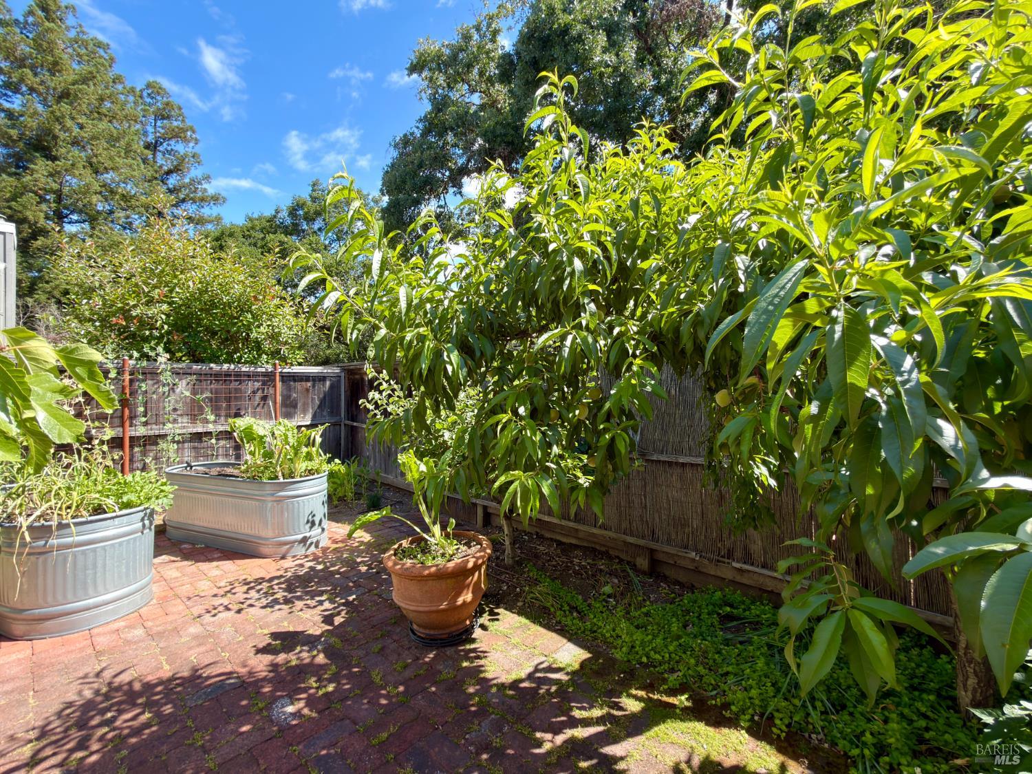 2770 Pike Drive Napa CA 94558