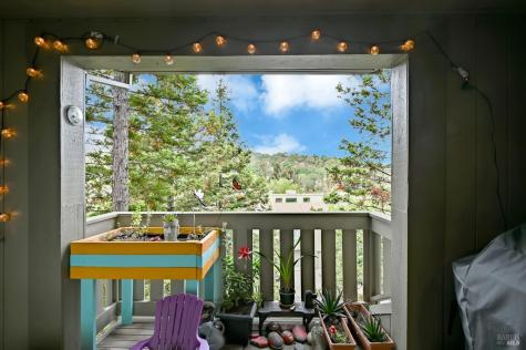 110 Redhawk Road Novato CA 94949
