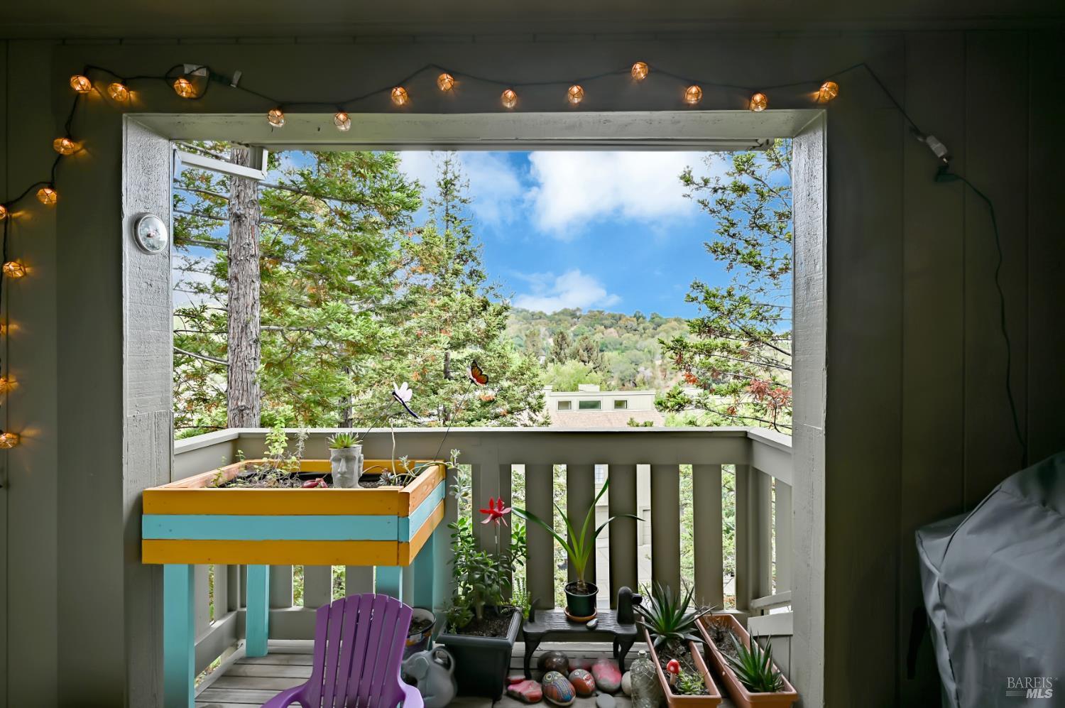 110 Redhawk Road Novato CA 94949