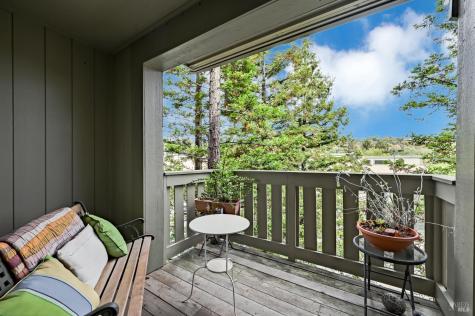 110 Redhawk Road Novato CA 94949