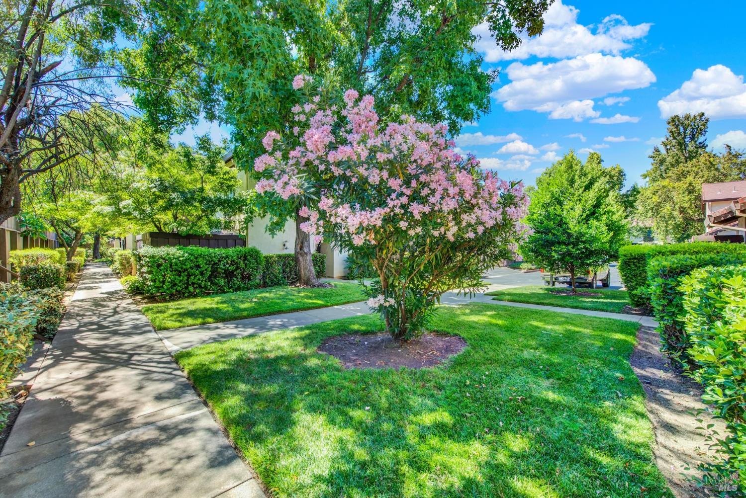113 Fairoaks Drive Vacaville CA 95688