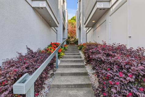 4 Ash Avenue Kentfield CA 94904