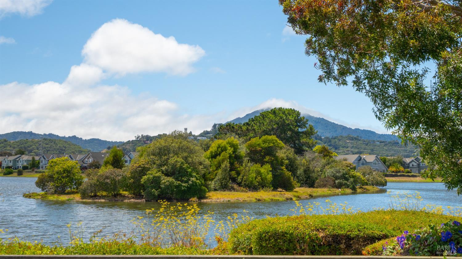 58 Bedford Cove San Rafael CA 94901